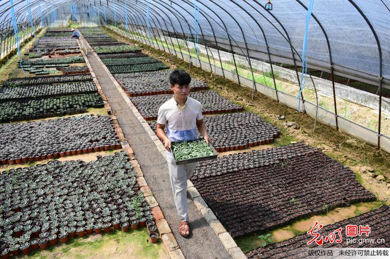 澳门十大正规网投平台